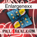 Enlargenexx cialis5